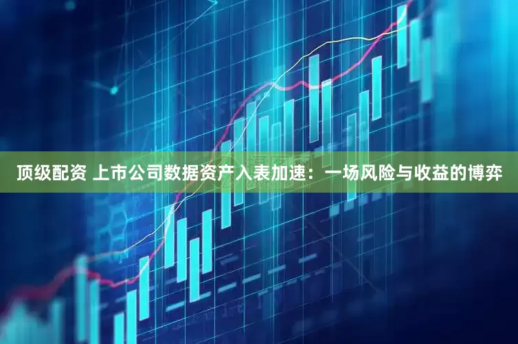 顶级配资 上市公司数据资产入表加速：一场风险与收益的博弈