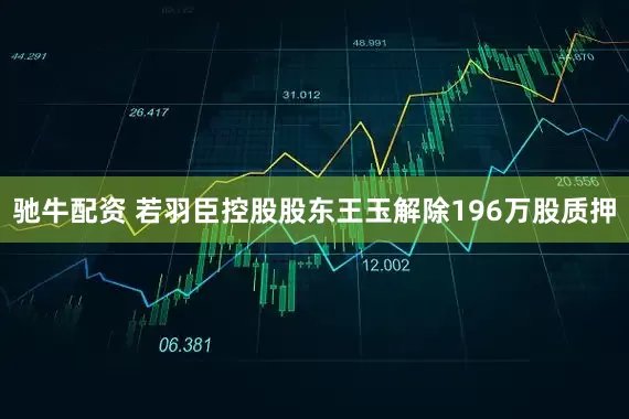 驰牛配资 若羽臣控股股东王玉解除196万股质押