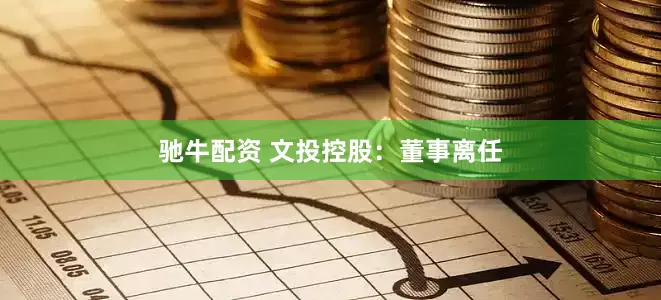 驰牛配资 文投控股：董事离任